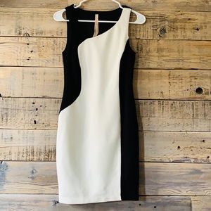 Bailey 44 Black and Ivory Color-Block Dress